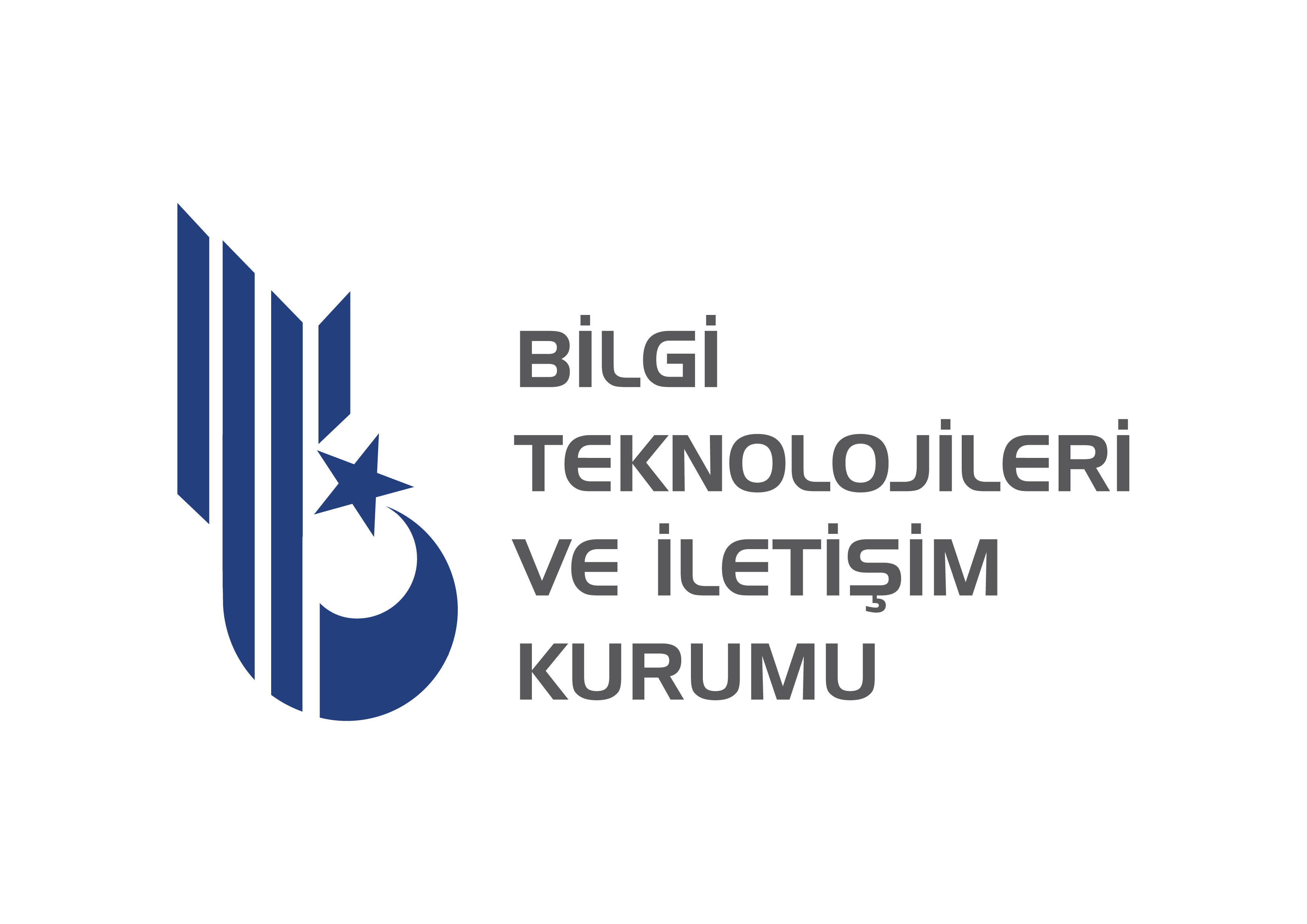 Bilgi teknolojileri logo